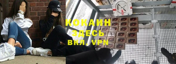 гашик Кинешма
