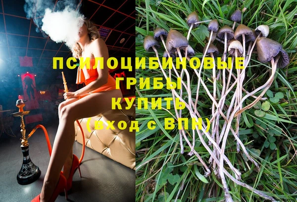 мдпв Киренск