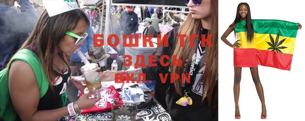 гашик Кинешма