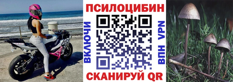 omg маркетплейс  наркота  Дзержинск  Галлюциногенные грибы мухоморы 