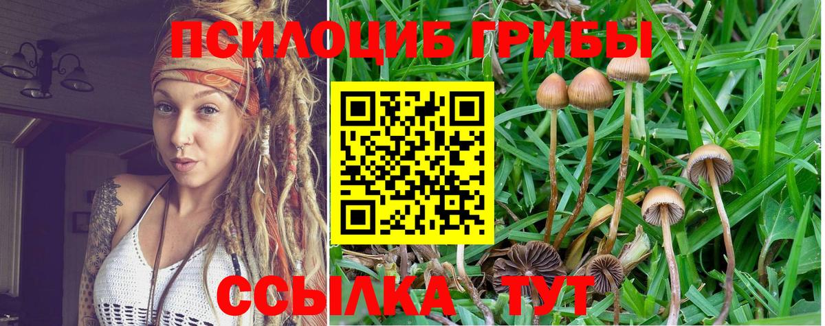 Псилоцибиновые грибы ЛСД  Дзержинск  Псилоцибиновые грибы ЛСД 