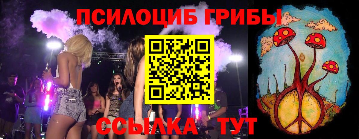 Галлюциногенные грибы Psilocybe Дзержинск