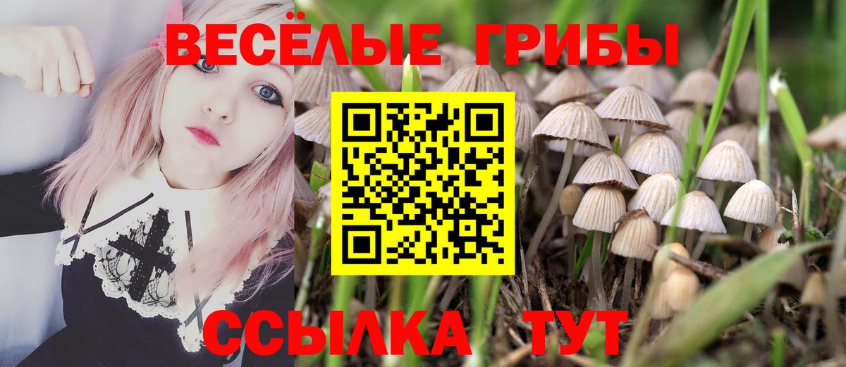 Псилоцибиновые грибы Magic Shrooms Дзержинск